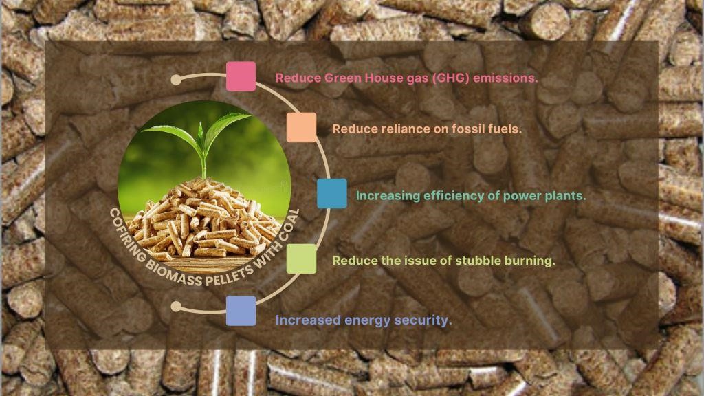 Biomass Pellets with coal
